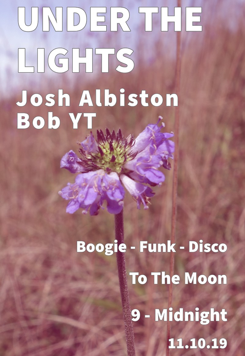 Under The Lights at To The Moon