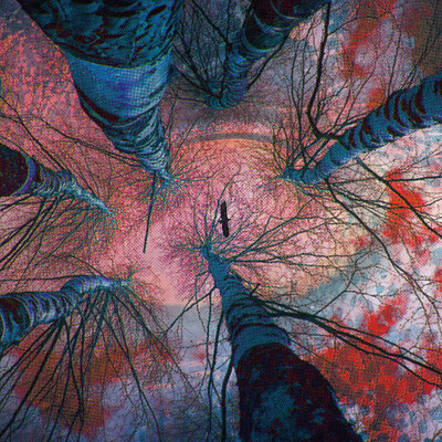 SENTIENTS at Watershed