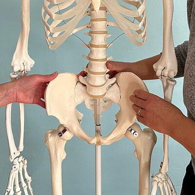 Body Research: Healthy Hips at Willow Studio, St Werburghs Primary School, BS2 9US