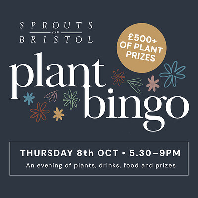 Houseplant Bingo with Sprouts at Willway Yard