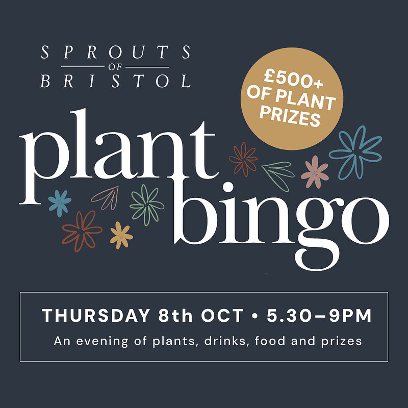 Houseplant Bingo with Sprouts at Willway Yard