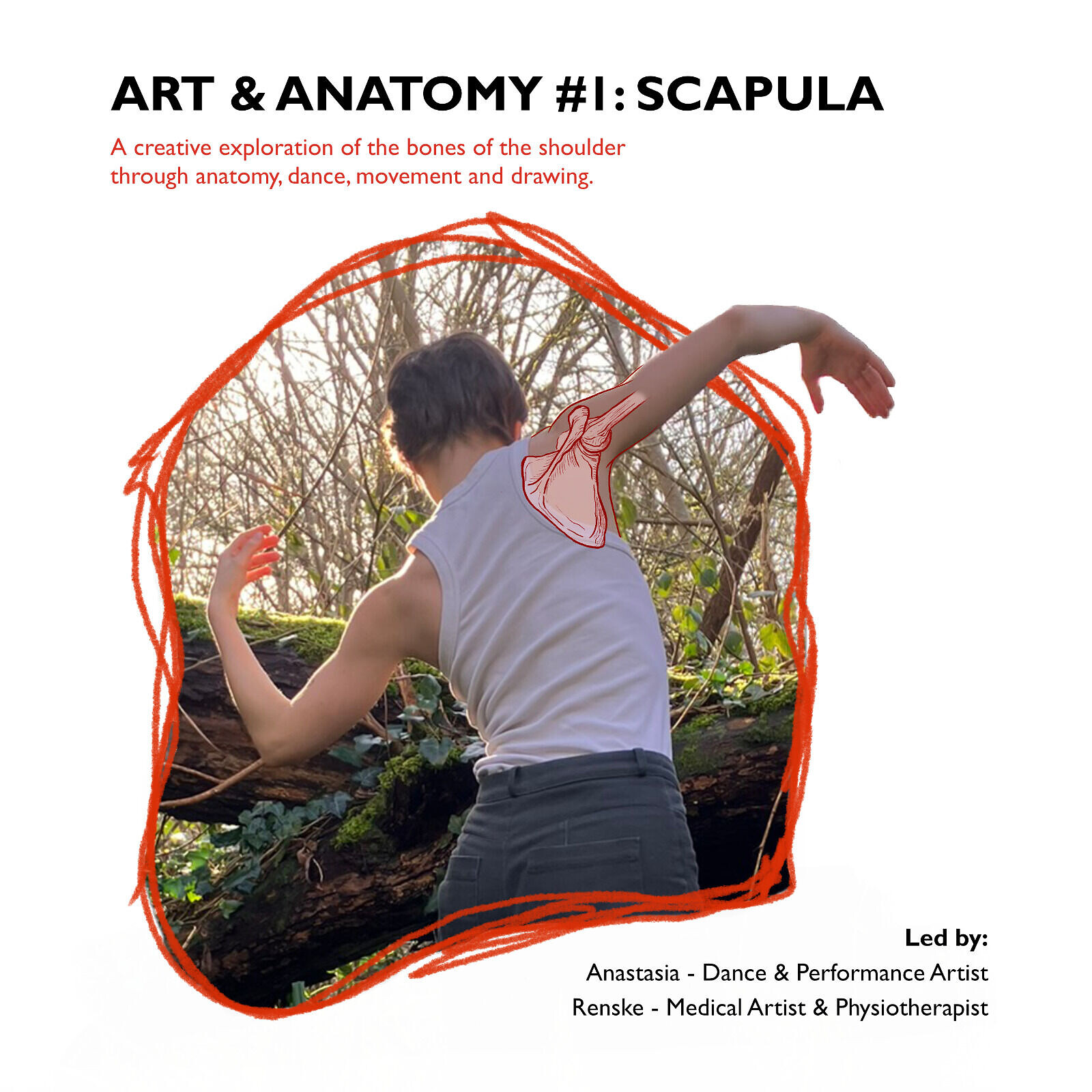 Anatomy and movement #1: bones at Windmill Hill City Farm Studio