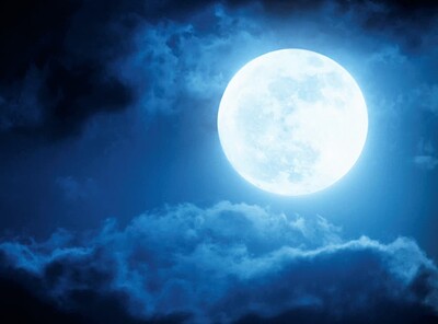 A New Way Of Being Presents: Cold Moon Meet at Windmill Hill City Farm