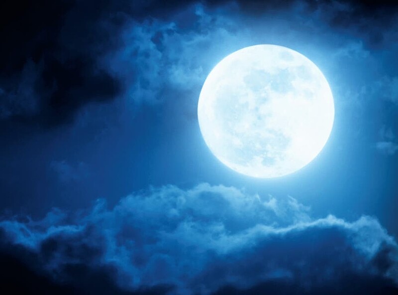 A New Way Of Being Presents: Cold Moon Meet at Windmill Hill City Farm