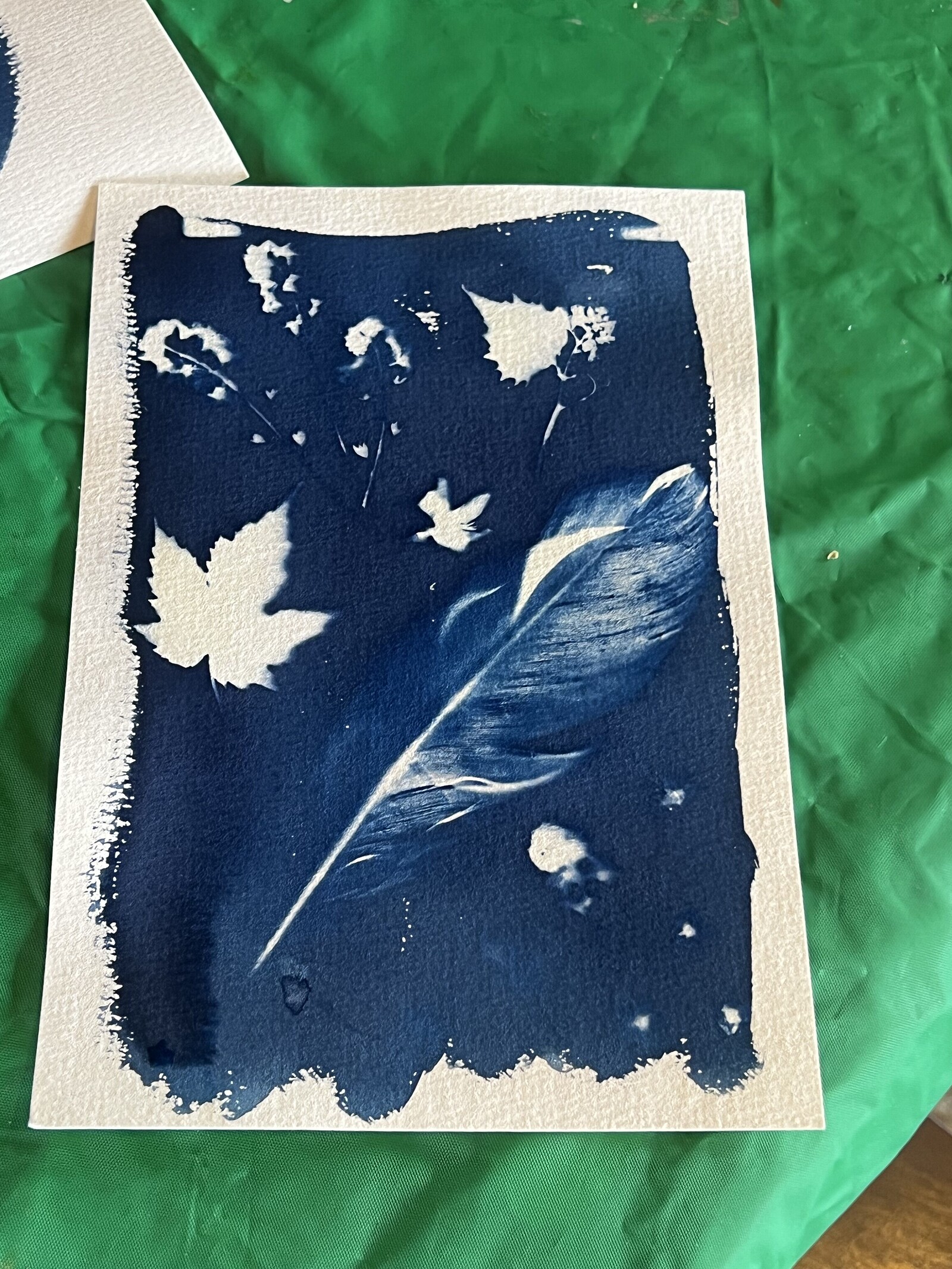 Cyanotype Workshop - Sun-Printing at Wiper and True, Barrel Store